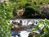 43.Izvor Bune